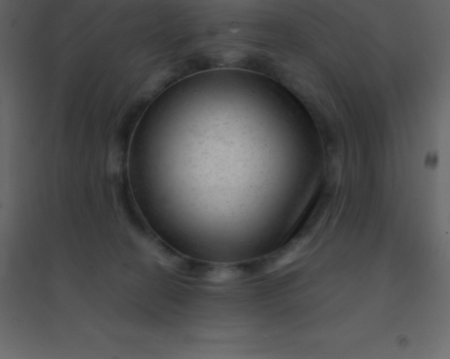 X0000094950274200712131629