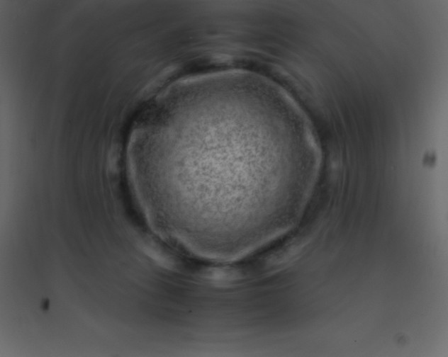 X0000094950275200712131629