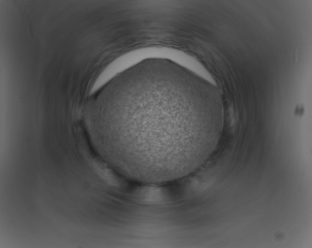 X0000094950276200712131629