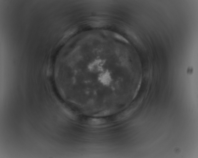 X0000094950277200712131629