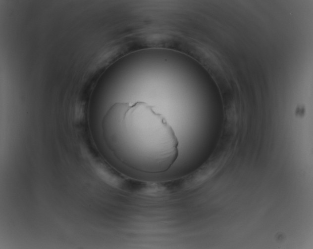 X0000094950278200712131629