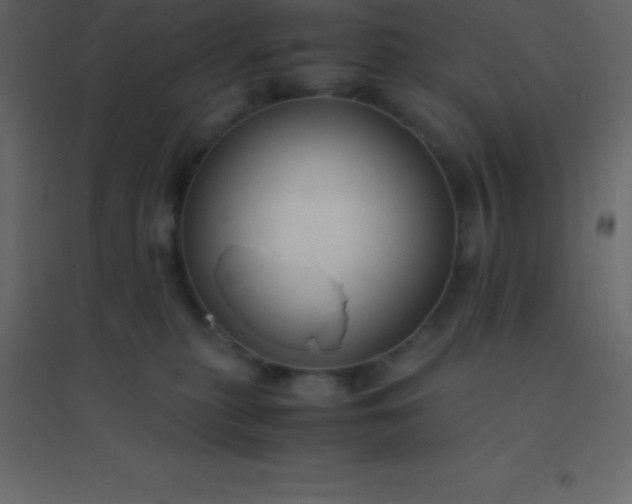 X0000094950279200712131629