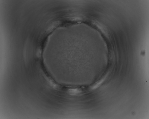 X0000094950281200712131629