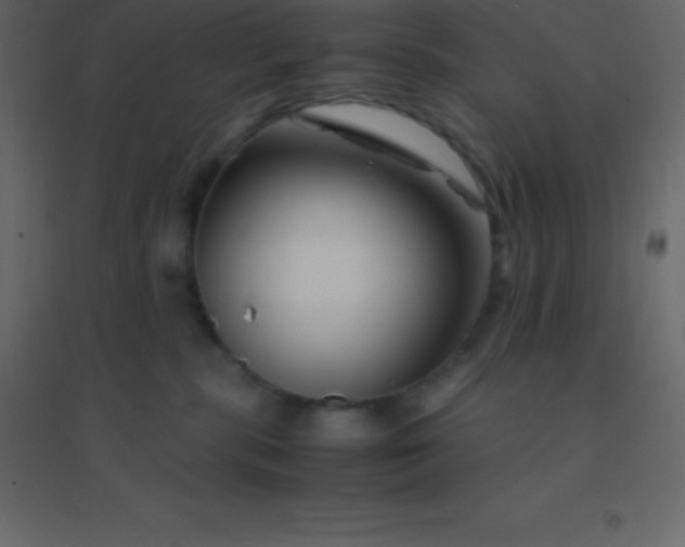 X0000094950283200712131629