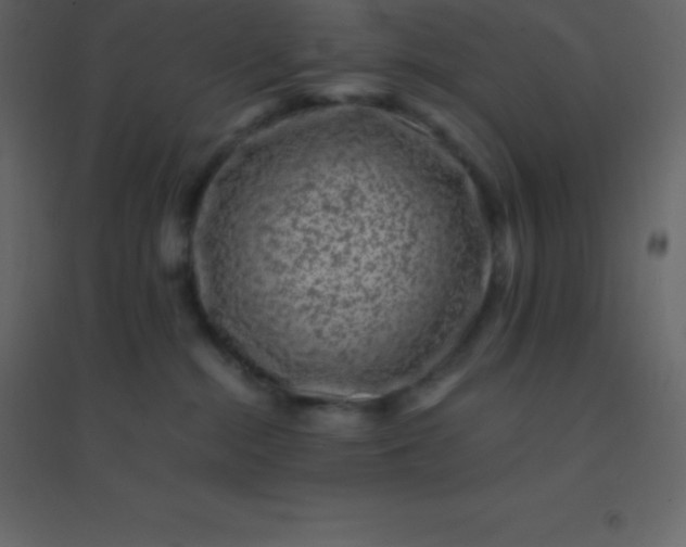 X0000094950284200712131629