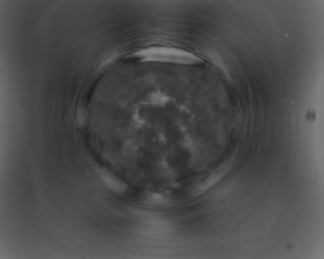 X0000094950285200712131629