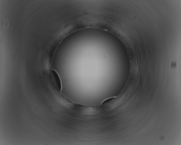 X0000094950287200712131629