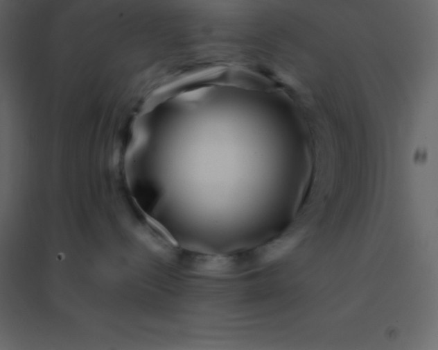 X0000094950288200712131629