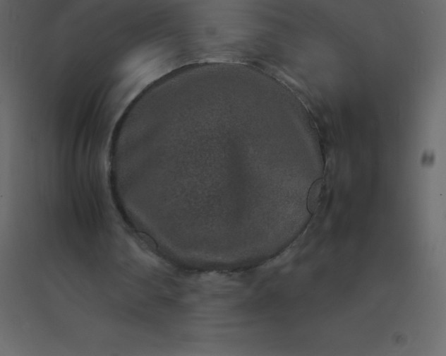 X0000094950290200712131628