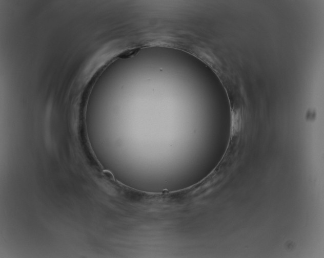 X0000094950291200712131628