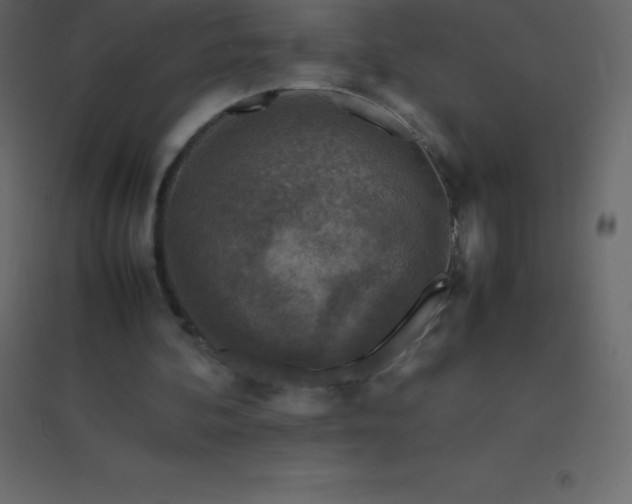 X0000094950292200712131628