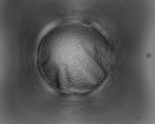 X0000094950293200712131628