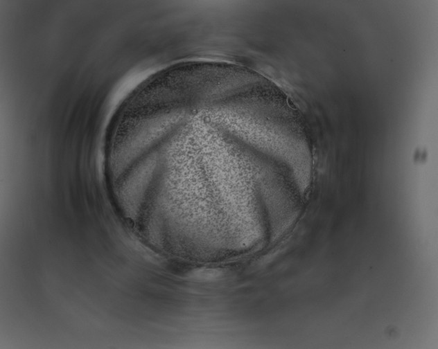 X0000094950294200712131628