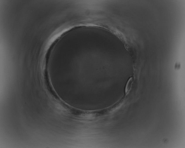 X0000094950295200712131628