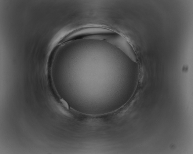 X0000094950296200712131628