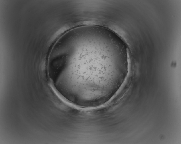 X0000094950297200712131628