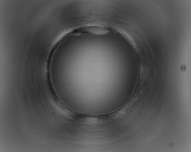 X0000094950298200712131628