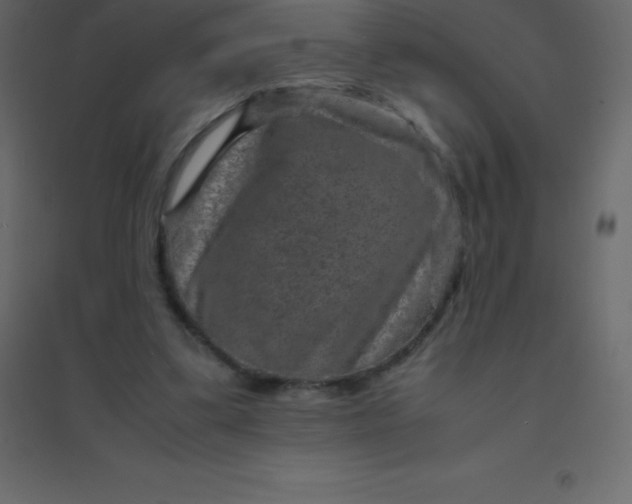 X0000094950299200712131628