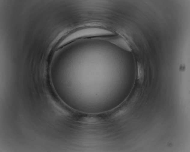 X0000094950300200712131628