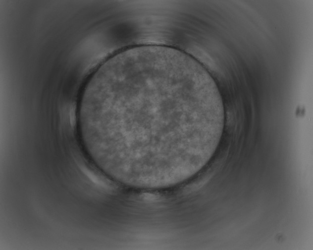 X0000094950302200712131628