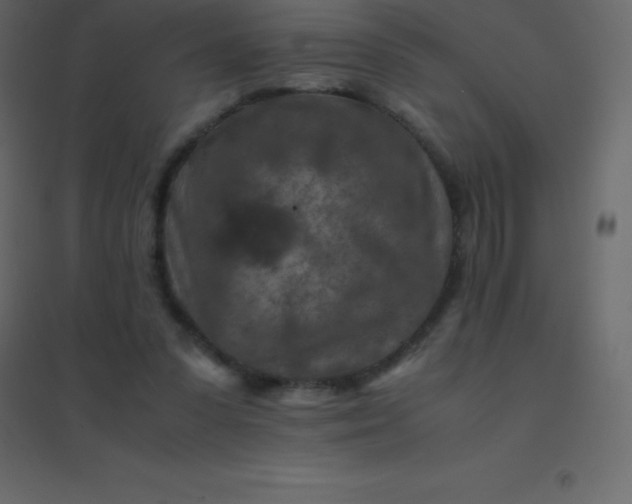 X0000094950303200712131628