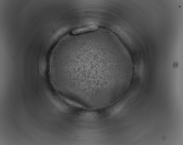 X0000094950304200712131628