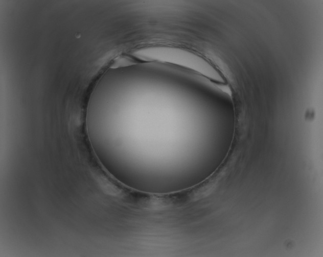 X0000094950305200712131628