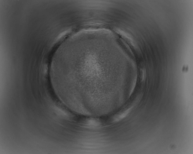 X0000094950308200712131628