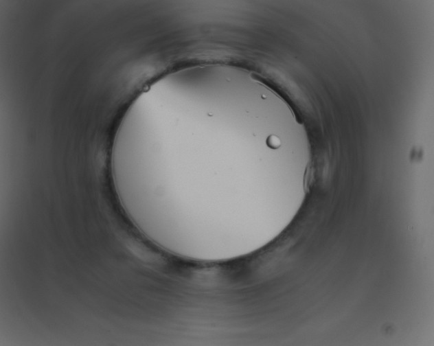 X0000094950309200712131628