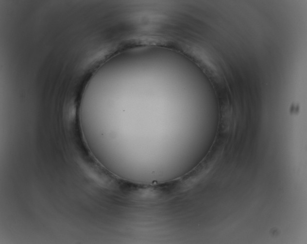 X0000094950310200712131628