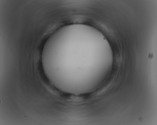 X0000094950311200712131628