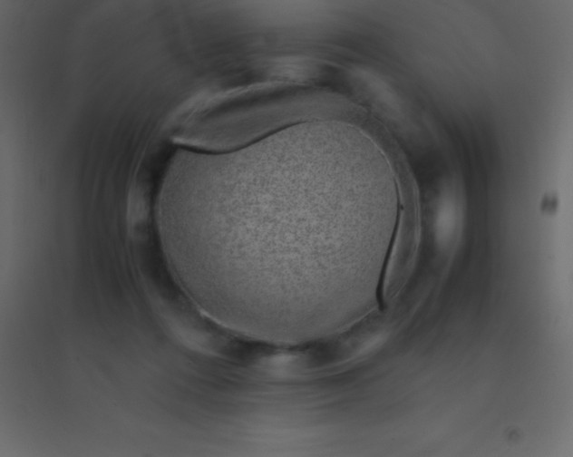 X0000094950312200712131628