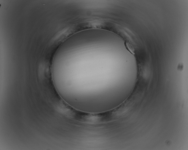 X0000094950313200712131628