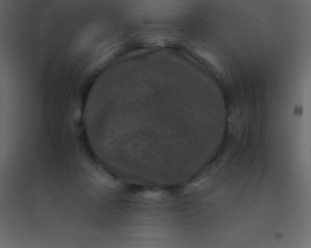 X0000094950314200712131628