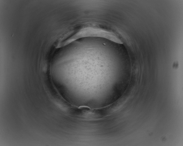 X0000094950315200712131628