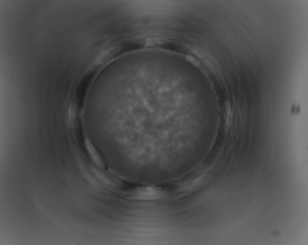 X0000094950316200712131628