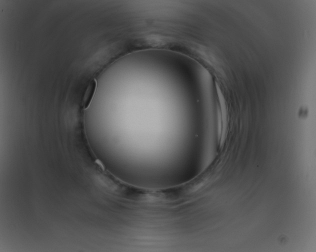 X0000094950317200712131628