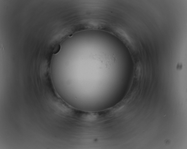 X0000094950318200712131628