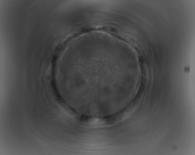 X0000094950319200712131628