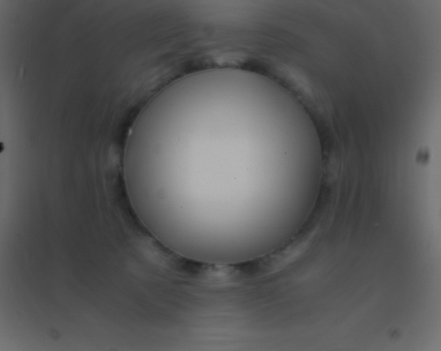 X0000094950321200712131628