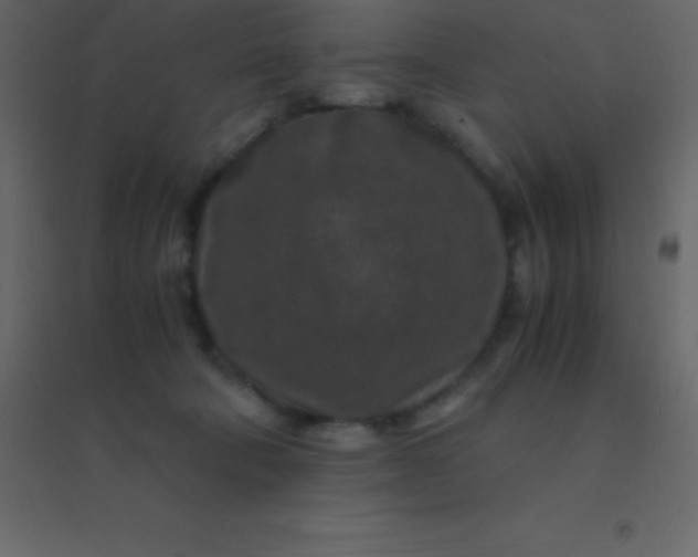 X0000094950322200712131628