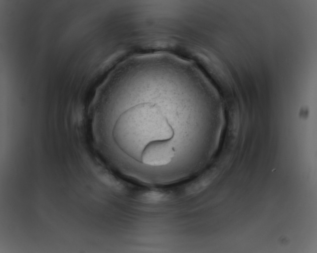 X0000094950326200712131628