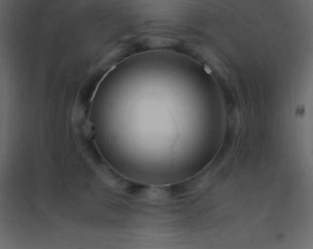 X0000094950327200712131628