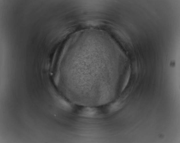 X0000094950328200712131628