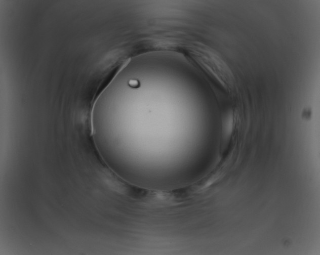 X0000094950329200712131627