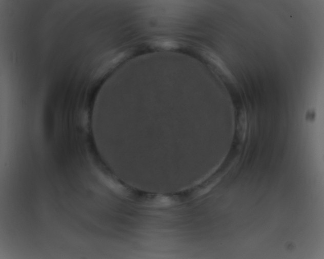 X0000094950330200712131627