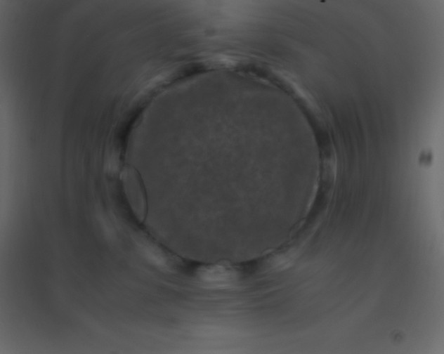 X0000094950331200712131627