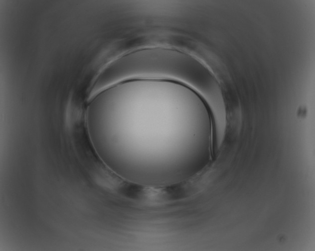 X0000094950333200712131627