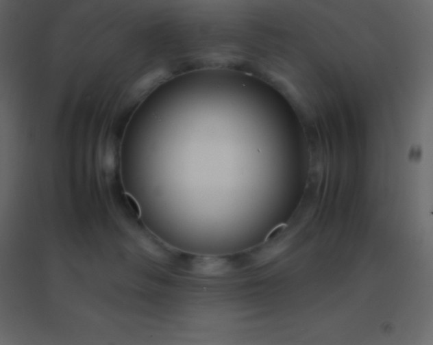 X0000094950334200712131627