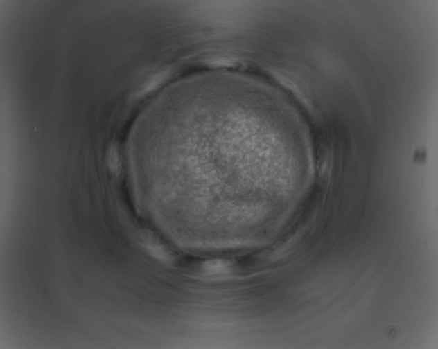 X0000094950335200712131627